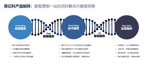 咨詢賦能，技術破局 營銷數字化轉型中的價值躍升之道