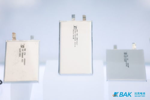 比克電池強勢登陸CIBF 2023 四大產品線聯袂登場，彰顯技術領導力